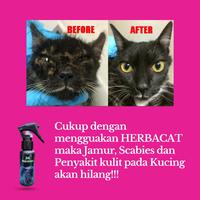 Gambar Herbacat Vicocat - Obat Anti Jamur dan Scabies Untuk Kucing Dewasa dari Vgatos undefined 3 Tokopedia
