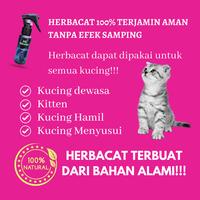 Gambar Herbacat Vicocat - Obat Anti Jamur dan Scabies Untuk Kucing Dewasa dari Vgatos undefined 4 Tokopedia