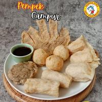 Gambar PEMPEK PALEMBANG, CAMPUR ISI 10 dari Pempek Aywa Store undefined 3 Tokopedia