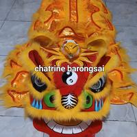 Gambar paket barongsai ana dan celana uk 70 cm ( bahan dr barongsai asli ) - Kuning dari chatrine barongsai undefined 2 Tokopedia