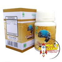 Gambar Kapsul Ekstrak Gamat Emas Asli BPOM dari Andrie Gallery undefined 3 Tokopedia