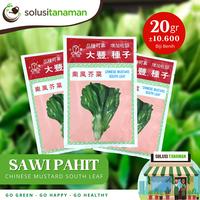 Gambar Benih Sawi Pahit Mustard 20g Biji Tanaman Sayuran Bibit Ta Fung Tafung dari Solusi Tanaman undefined 1 Tokopedia