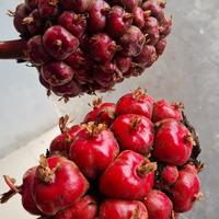 Gambar Asam Cikala/Patkala 100 gram dari Ingot Jantung undefined 3 Tokopedia