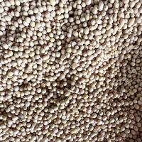 Gambar Kacang Kedelai - 1kg dari sembakocitra22 undefined 3 Tokopedia
