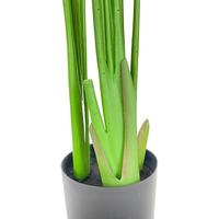 Gambar Pohon Pisang Hias 8DAUN 1.2 METER TERMASUK POT - Tanaman Artificial dari MENYALA undefined 3 Tokopedia