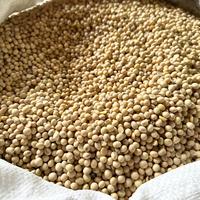 Gambar Kacang Kedelai - 1kg dari sembakocitra22 undefined 2 Tokopedia