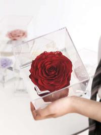 Gambar Preserved Rose Giant Flower Acrylic Box Gift Import Bunga Rose Jumbo - Merah dari flourish. jkt undefined 1 Tokopedia