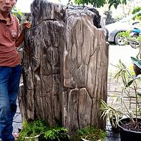 Gambar batu hias fosil kayu (97) dari Najwa OL shoping undefined 3 Tokopedia