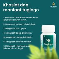 Gambar Tugingo 30 Kapsul Obat Batu Ginjal / Herbal Penyakit Ginjal Kronis dari yosinstore undefined 3 Tokopedia