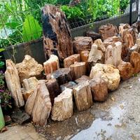 Gambar batu hias fosil kayu (97) dari Najwa OL shoping undefined 5 Tokopedia