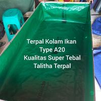 Gambar TERPAL KOLAM IKAN A20 300×50×20 CM KUALITAS SUPER TEBAL dari Talitha terpal undefined 1 Tokopedia