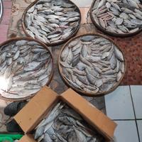 Gambar Ikan asin campuran /campur Campur Kemasan 1kg Murah #Ikanasintegal - 1000gr dari Ikan Asin Siuntung undefined 2 Tokopedia