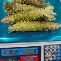 Gambar WASABI FRESH dari Satria Kinanti Ramadhan undefined 1 Tokopedia