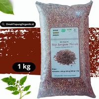 Gambar Biji Sorgum Merah 1 kg/Biji Sorgum Putih 1 kg/Beras Sorgum 1 kg - Sorgum Merah, 250 gram dari OmahTepungOrganik undefined 1 Tokopedia