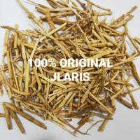 Gambar akar Alang Alang kering 100 gram dari JLaris undefined 1 Tokopedia