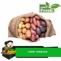 Gambar ubi putih, ungu, orange kuning, singkong - ubi ungu 1/2 dari delauks undefined 1 Tokopedia