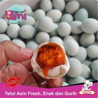 Gambar Telur Bebek Asin Matang Fresh Enak dan Gurih dari Telur Asin Umi undefined 1 Tokopedia