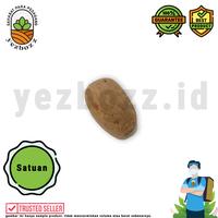 Gambar Biji Pala Satuan dari Yezbozz Shop undefined 1 Tokopedia