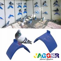 Gambar TANGKRINGAN MERPATI POS TENGGERAM BURUNG DARA PERKUTUT KOLONI dari JAGGER AnimalKingdom undefined 3 Tokopedia