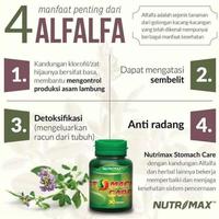 Gambar Ready Nutrimax Stomach Care Suplemen Kesehatan [30 Tablet] Promo dari meidashop26 undefined 3 Tokopedia