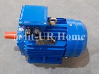 Gambar Electric Elektro Motor Lisrtrik TITAN 2P 3000 RPM 0.75HP~270HP 3Ph B3 - 0.75HP / 0.55KW dari fit-UR Home undefined 2 Tokopedia