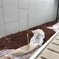 Gambar Liang Liu Taman Hias Vertikal Garden & Kolam Hias Minimalis Garansi 1 Bulan Tanaman Mati & 2 Bulan Maintenance Pohon Lindung Pule Tabibuya Kenari Kurma Sepatu Dea Kelapa dari Landscape green leaf undefined 2 Tokopedia
