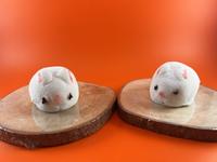 Gambar Cute Mochi by Mochi Coffee Co - Mango dari Lavanya Store tk undefined 1 Tokopedia