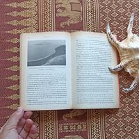 Gambar Krakatoa, Simon Winchester, buku Gunung Krakatau geologi sejarah - Sampul beige dari tokomerahbali undefined 4 Tokopedia