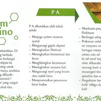 Gambar Divine Mayan19 isi 20 batang Divine Mayan 19 Mayan Terapi 20 batang dari KAKAK DJAYA SHOP undefined 4 Tokopedia