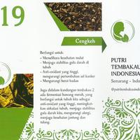 Gambar Divine Mayan19 isi 20 batang Divine Mayan 19 Mayan Terapi 20 batang dari KAKAK DJAYA SHOP undefined 3 Tokopedia