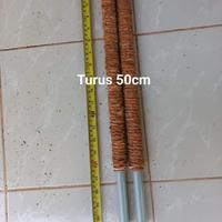 Gambar Turus Penyangga Tanaman 50cm dari Arta Lucky Star Garden undefined 1 Tokopedia