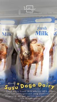Gambar Susu Sapi Segar Tawar - Dago Dairy Fresh Milk dari kotaksayur undefined 3 Tokopedia