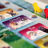 Gambar Dog Park Board Game - Original - TokoBoardGame - European Exp dari TokoBoardGame undefined 4 Tokopedia