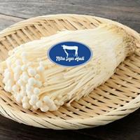 Gambar Jamur Enoki 100gr dari Mitra Segar Abadi Jakpus undefined 1 Tokopedia
