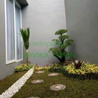 Gambar Paket Borongan Pasang Taman Murah dari NAVIKA TAMAN undefined 4 Tokopedia