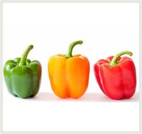 Gambar Benih Biji PAPRIKA MIX (Merah, Kuning, Hijau) Sweet Bell Pepper dari Girinery undefined 1 Tokopedia