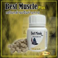 Gambar BEST MUSCLE PLUS VITAMIN SUPLEMEN PEMBENTUKAN MEMPERKUAT OTOT BURUNG dari vetaindo premium undefined 1 Tokopedia