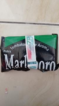 Gambar tembakau mole marleboro hijau dari Bako Gayo Hijau Aceh undefined 1 Tokopedia