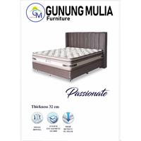 Gambar Springbed Ocean (Matrass) Passionate 32cm 100/120/160/180/200 - 200X200 dari Gunung Mulia Furniture undefined 1 Tokopedia