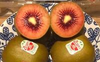Gambar Buah Kiwi Merah Zespri RubyRed - 1Pcs dari CMF Fruit Shop undefined 1 Tokopedia