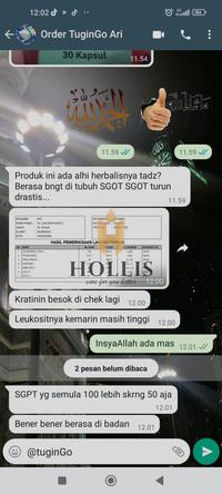 Gambar TUGINGO Original - Obat Batu Ginjal / Herbal Penyakit Ginjal Kronis dari yosinstore undefined 3 Tokopedia