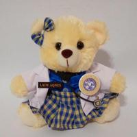 Gambar Boneka Wisuda Seragam Profesi Dokter Teddy Bear Gratis Statoskop dari Queen Shop II undefined 5 Tokopedia