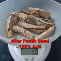 Gambar herbal Akar pasak bumi 100% Asli 50gram dari Berbagi Kasih undefined 1 Tokopedia