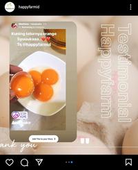 Gambar Telur Coklat Omega Red Organik 30butir/1.9kg by Happyfarm dari happyfarmbdg_NEW undefined 3 Tokopedia