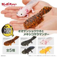 Gambar IKIMONO Repti Giant Salamander axolotl figure bandai gashapon figure - Dark dari Bos Jastip undefined 3 Tokopedia