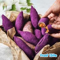 Gambar Telo Ungu / Ubi Jalar / Ketela Rambat / Purple Sweet Potato - 1 kg dari Frost Bitess undefined 5 Tokopedia