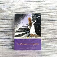 Gambar GEORGE MACDONALD - The Princess and the Goblin dari Yasmine Bookstore undefined 1 Tokopedia
