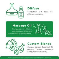 Gambar Darjeeling Peppermint Piperita Pure Essential Oil / Minyak Daun Mint Aromaterapi Therapeutic Grade - 10ml dari Darjeeling Store undefined 5 Tokopedia