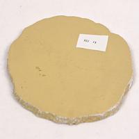 Gambar Tempat Makan Feeding Dish Kura Reptil Sulcata Alda 18x14cm Nomoy NS-13 - ------- dari Reptile Tangerang undefined 5 Tokopedia