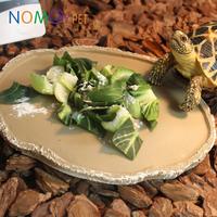 Gambar Tempat Makan Feeding Dish Kura Reptil Sulcata Alda 18x14cm Nomoy NS-13 - ------- dari Reptile Tangerang undefined 2 Tokopedia